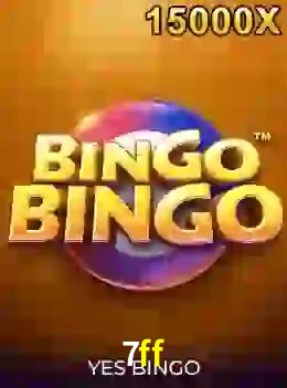 bingobingo